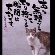 ヒメ日記 2025/06/01 05:00 投稿 うみ 新宿泡洗体デラックスエステ