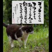 ヒメ日記 2025/06/03 18:57 投稿 うみ 新宿泡洗体デラックスエステ