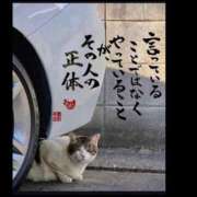 ヒメ日記 2025/06/21 20:20 投稿 うみ 新宿泡洗体デラックスエステ