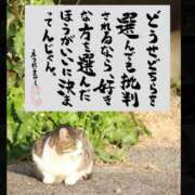 ヒメ日記 2025/06/29 05:23 投稿 うみ 新宿泡洗体デラックスエステ