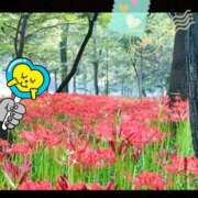 ヒメ日記 2025/07/21 19:34 投稿 うみ 新宿泡洗体デラックスエステ