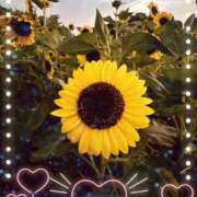 ヒメ日記 2025/08/09 05:00 投稿 うみ 新宿泡洗体デラックスエステ