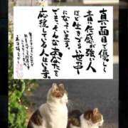 ヒメ日記 2025/08/28 20:00 投稿 うみ 新宿泡洗体デラックスエステ