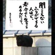 ヒメ日記 2025/08/29 20:02 投稿 うみ 新宿泡洗体デラックスエステ