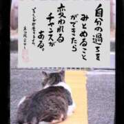 ヒメ日記 2025/08/30 20:01 投稿 うみ 新宿泡洗体デラックスエステ