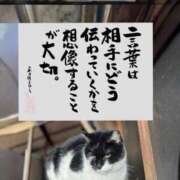 ヒメ日記 2025/09/02 11:00 投稿 うみ 新宿泡洗体デラックスエステ