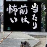 ヒメ日記 2025/09/04 11:00 投稿 うみ 新宿泡洗体デラックスエステ