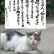 ヒメ日記 2025/09/08 20:19 投稿 うみ 新宿泡洗体デラックスエステ