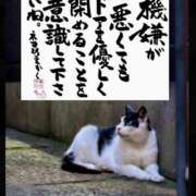 ヒメ日記 2025/09/18 05:00 投稿 うみ 新宿泡洗体デラックスエステ