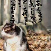 ヒメ日記 2025/09/20 05:00 投稿 うみ 新宿泡洗体デラックスエステ