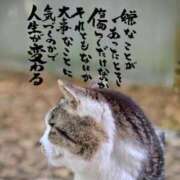 ヒメ日記 2025/09/29 20:01 投稿 うみ 新宿泡洗体デラックスエステ