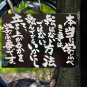 ヒメ日記 2025/10/02 11:01 投稿 うみ 新宿泡洗体デラックスエステ