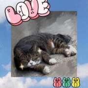 ヒメ日記 2025/10/21 20:01 投稿 うみ 新宿泡洗体デラックスエステ