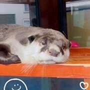 うみ 🚢💨 新宿泡洗体デラックスエステ