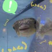 ヒメ日記 2026/01/07 20:01 投稿 うみ 新宿泡洗体デラックスエステ