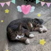 ヒメ日記 2026/02/22 22:25 投稿 うみ 新宿泡洗体デラックスエステ