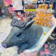 ヒメ日記 2026/03/14 07:49 投稿 うみ 新宿泡洗体デラックスエステ
