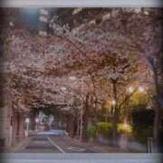 ヒメ日記 2026/03/30 23:19 投稿 うみ 新宿泡洗体デラックスエステ