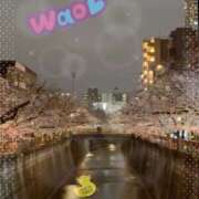 ヒメ日記 2026/04/01 20:03 投稿 うみ 新宿泡洗体デラックスエステ