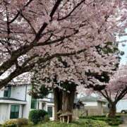 ヒメ日記 2026/04/02 23:58 投稿 うみ 新宿泡洗体デラックスエステ