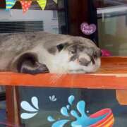 ヒメ日記 2026/04/09 05:00 投稿 うみ 新宿泡洗体デラックスエステ