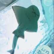 ヒメ日記 2026/06/08 23:55 投稿 うみ 新宿泡洗体デラックスエステ