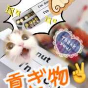 ヒメ日記 2026/06/17 19:44 投稿 うみ 新宿泡洗体デラックスエステ