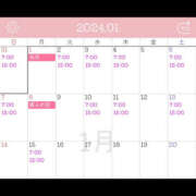 ヒメ日記 2023/12/31 03:45 投稿 さら ハピネス東京