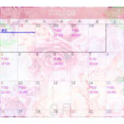 ヒメ日記 2025/02/25 12:50 投稿 さら ハピネス東京