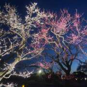 ヒメ日記 2025/03/01 10:19 投稿 さら ハピネス東京