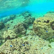 ヒメ日記 2025/04/13 04:37 投稿 さら ハピネス東京