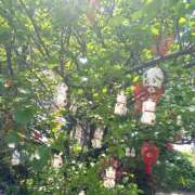 ヒメ日記 2025/04/27 04:37 投稿 さら ハピネス東京