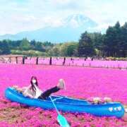 ヒメ日記 2025/05/22 08:37 投稿 さら ハピネス東京