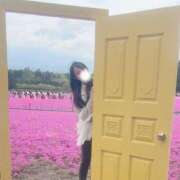 ヒメ日記 2025/05/25 11:07 投稿 さら ハピネス東京