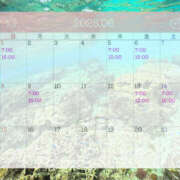 ヒメ日記 2025/05/28 08:57 投稿 さら ハピネス東京