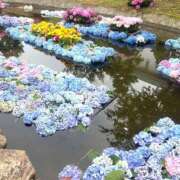 ヒメ日記 2025/06/22 05:07 投稿 さら ハピネス東京