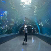 ヒメ日記 2025/08/23 04:49 投稿 さら ハピネス東京