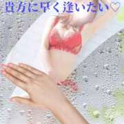 ヒメ日記 2024/12/31 07:30 投稿 みらい 大和人妻城