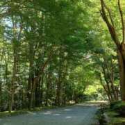 ヒメ日記 2025/05/26 12:20 投稿 みらい 大和人妻城