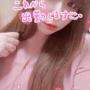 ヒメ日記 2025/09/10 10:33 投稿 れいか奥様 デザイア日本橋