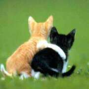 ヒメ日記 2026/03/19 00:38 投稿 カイリー ブロンドワールド