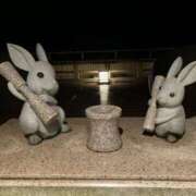 ヒメ日記 2025/04/18 17:42 投稿 綿井雪乃 アロマファンタジー高輪