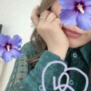 ヒメ日記 2025/05/18 20:44 投稿 綿井雪乃 アロマファンタジー高輪