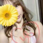 ヒメ日記 2026/04/22 12:29 投稿 綿井雪乃 アロマファンタジー高輪