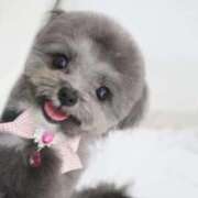 ヒメ日記 2025/08/30 14:47 投稿 きずな マリン池袋北口駅前店