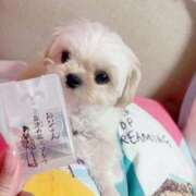 ヒメ日記 2025/09/29 13:37 投稿 きずな マリン池袋北口駅前店