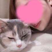 ヒメ日記 2025/02/22 15:59 投稿 ねね 乳首愛撫専門店「五反田シルキータッチ」