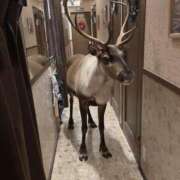 ヒメ日記 2025/12/23 13:03 投稿 牧野ひかり お色気物語（横浜ハレ系）