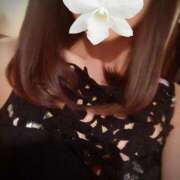 ヒメ日記 2025/05/14 09:47 投稿 佐々木さくら キングアンドクイーン