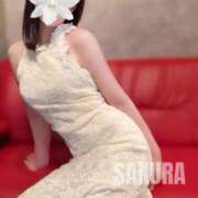 ヒメ日記 2025/05/17 09:57 投稿 佐々木さくら キングアンドクイーン